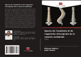 Aperçu de l'anatomie et de l'approche chirurgicale de la colonne vertébrale Aperçu de l'anatomie et de l'approche chirurgicale de la colonne vertébrale