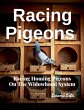 Racing Pigeons - Bild 1