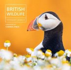 British Wildlife Photography Awards 13