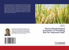 Physio-Morphological Evaluation of Promising Rice for Improved Yield Physio-Morphological Evaluation of Promising Rice for Improved Yield