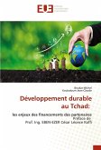 Développement durable au Tchad: