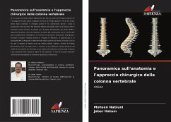 Cover Panoramica sull'anatomia e l'approccio chirurgico della colonna vertebrale