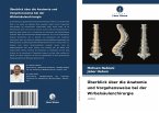Überblick über die Anatomie und Vorgehensweise bei der Wirbelsäulenchirurgie Überblick über die Anatomie und Vorgehensweise bei der Wirbelsäulenchirurgie