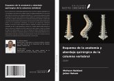 Esquema de la anatomía y abordaje quirúrgico de la columna vertebral Esquema de la anatomía y abordaje quirúrgico de la columna vertebral