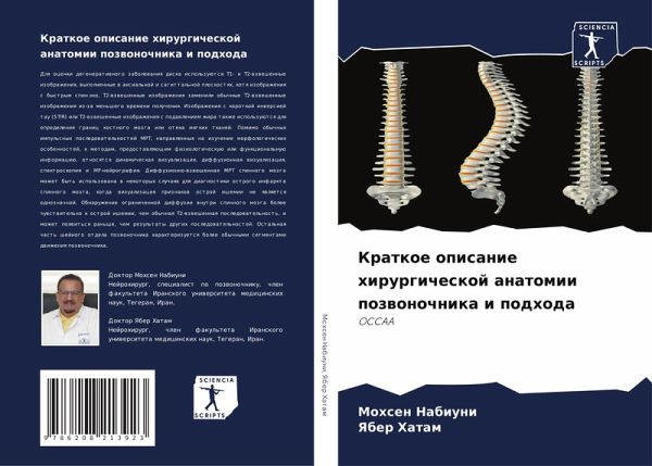 Kratkoe opisanie hirurgicheskoj anatomii pozwonochnika i podhoda