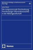 Die zivilprozessuale Durchsetzung fremdnütziger Informationsrechte in der Aktiengesellschaft