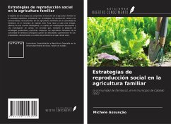 Cover Estrategias de reproducción social en la agricultura familiar