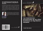 Las experiencias psicosociales de los niños huérfanos en Gig District Gambela