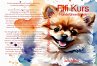 Fifi Kurs Hundeführerschein (eBook,... - Bild 1