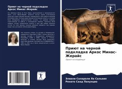 Cover Priüt na chernoj podkladke Arkos Minas-Zherajs