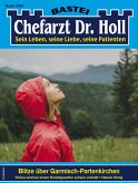 Chefarzt Dr. Holl 2006 (eBook, ePUB)