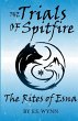 The Trials of Spitfire - Bild 1