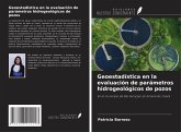 Geoestadística en la evaluación de parámetros hidrogeológicos de pozos Geoestadística en la evaluación de parámetros hidrogeológicos de pozos