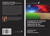 El papel de los bosques eclesiásticos en la reducción de las emisiones de carbono El papel de los bosques eclesiásticos en la reducción de las emisiones de carbono