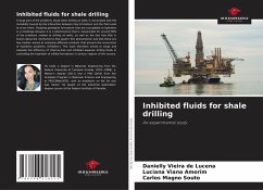 Inhibited fluids for shale drilling - Vieira de Lucena, Danielly;Viana Amorim, Luciana;Souto, Carlos Magno