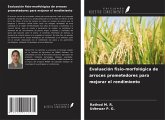Evaluación fisio-morfológica de arroces prometedores para mejorar el rendimiento Evaluación fisio-morfológica de arroces prometedores para mejorar el rendimiento