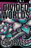 Divided Worlds Divided Worlds