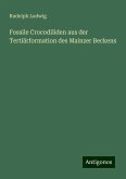 Fossile Crocodiliden aus der Tertiärformation des Mainzer Beckens Fossile Crocodiliden aus der Tertiärformation des Mainzer Beckens