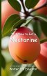 It's Time to Eat a Nectarine - Bild 1