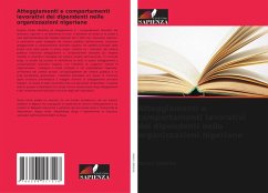 Cover Atteggiamenti e comportamenti lavorativi dei dipendenti nelle organizzazioni nigeriane