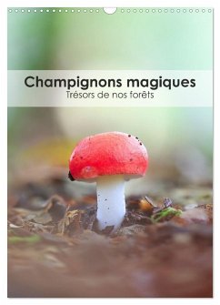 Champignons magiques - Trésors de nos forêts (Calendrier mural 2025 DIN A3 horizontal), CALVENDO calendrier mensuel - Martzel, Thomas