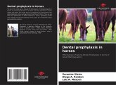 Dental prophylaxis in horses