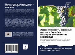 Cover Jeffektiwnost' äfirnyh masel w bor'be s Rhizopus stolonifer na winograde