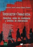 Tercer sector y trabajo social. Derechos, redes de ciudadanía y ámbitos de intervención