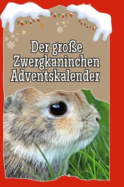 Der große Zwergkaninchen-Adventskalender Der große Zwergkaninchen-Adventskalender