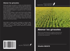 Abonar los girasoles Cover Abonar los girasoles