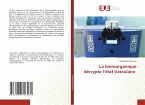La bioinorganique décrypte l'état Vasculaire