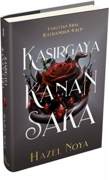 Kasirgaya Kanan Saka 1 Ciltli