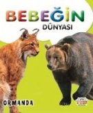 Bebegin Dünyasi Ormanda Bebegin Dünyasi Ormanda