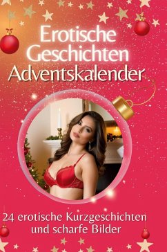 Cover Adventskalender Erotische Geschichten