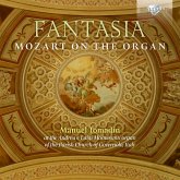 Fantasia,Mozart On The Organ Fantasia,Mozart On The Organ