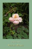 Rose des Mondes Rose des Mondes