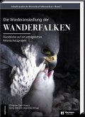 Die Wiederansiedlung der Wanderfalken Die Wiederansiedlung der Wanderfalken