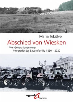 Cover Abschied von Wiesken