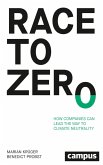 Race to Zero (eBook, ePUB) Race to Zero (eBook, ePUB)