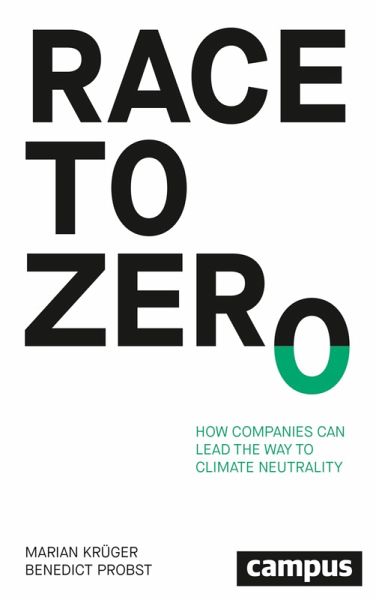 Race to Zero (eBook, ePUB)