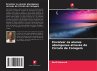 Envolver os alunos aborígenes através... - Bild 1