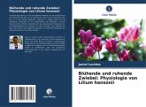 Blühende und ruhende Zwiebel: Physiologie von Lilium hansonii Blühende und ruhende Zwiebel: Physiologie von Lilium hansonii