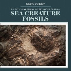 Cover Sea Creature Fossils