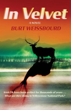 In Velvet - Weissbourd, Burt