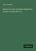 Report of a tour in Eastern Rajputana in 1871-72 and 1872-73 Report of a tour in Eastern Rajputana in 1871-72 and 1872-73