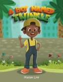 A Boy Named Twinkle A Boy Named Twinkle