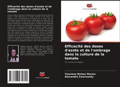Efficacité des doses d'azote et de l'ombrage dans la culture de la tomate - Bolzan Morais, Tassiane;Swarowsky, Alexandre