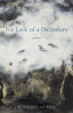 Cover For Lack of a Dictionary