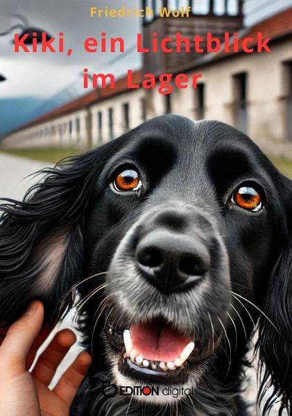Kiki, ein Lichtblick im Lager (eBook, PDF) Kiki, ein Lichtblick im Lager (eBook, PDF)