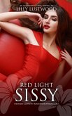 Red Light Sissy: Feminized and Loved by Transgender Working Girls (eBook, ePUB) Red Light Sissy: Feminized and Loved by Transgender Working Girls (eBook, ePUB)